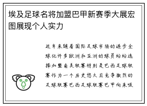 埃及足球名将加盟巴甲新赛季大展宏图展现个人实力